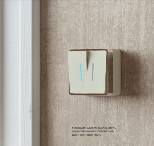 Gallant-slonovaya-kost