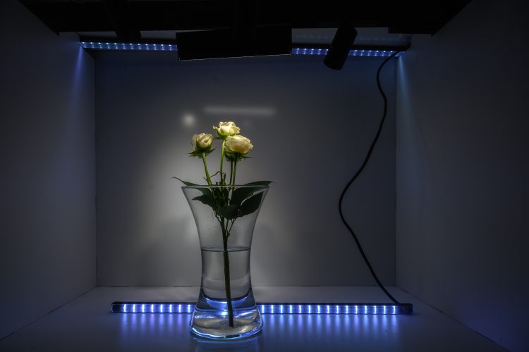 250920 - ксп04 - 0120